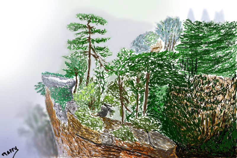 paysage n6